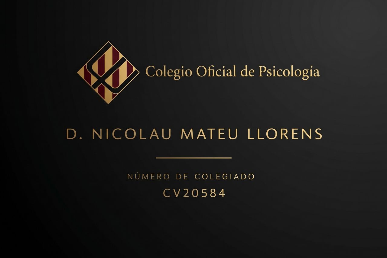 Nicolau Mateu Llorens-1