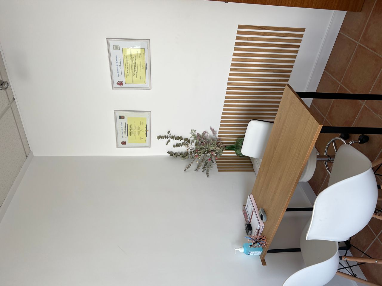 Rosa Perello Alzamora-1