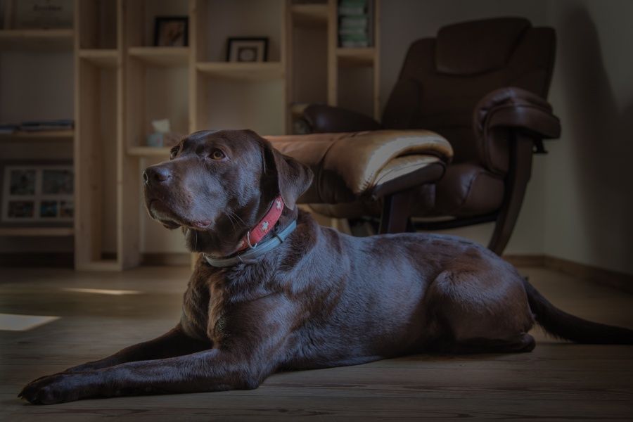 Christian Purschke-3