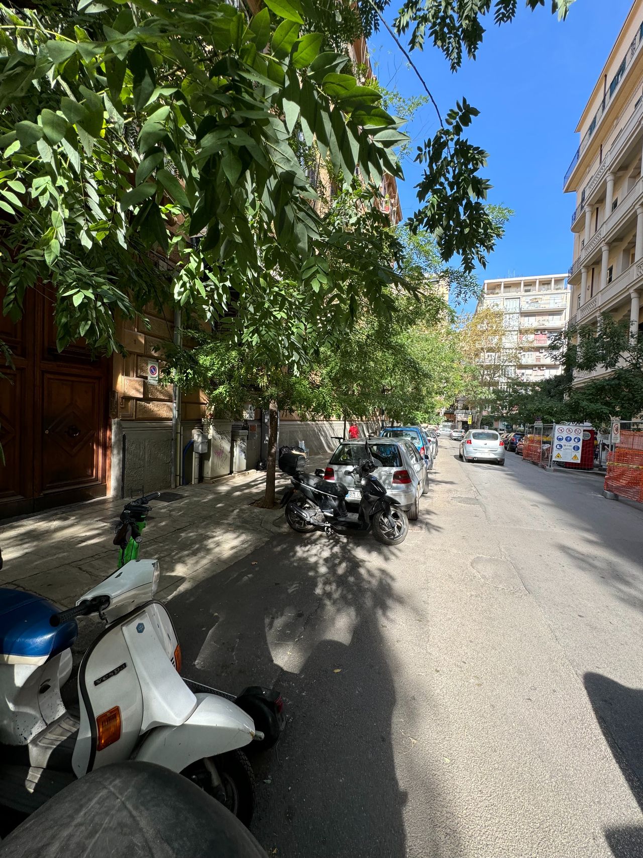 Maria Clara Cardillo-4