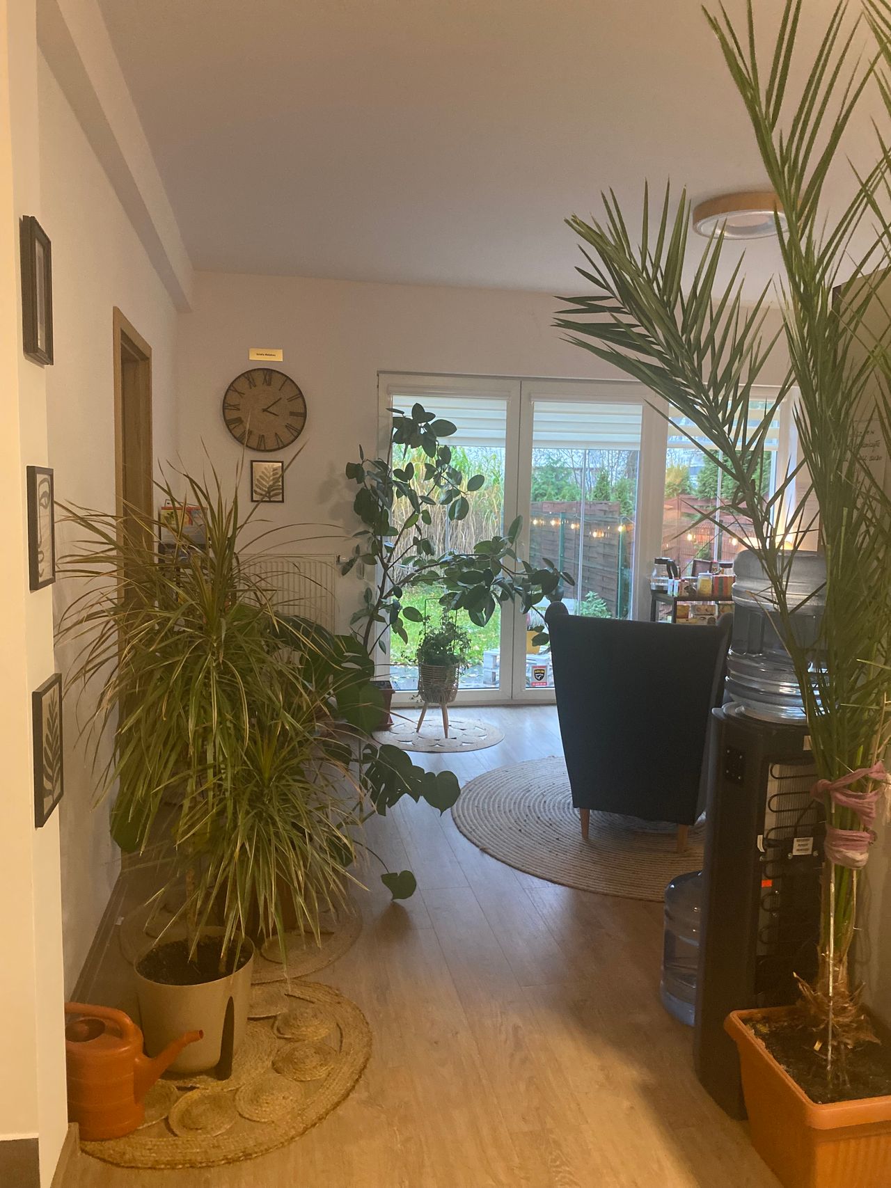 Adriana Dąbrowska-6