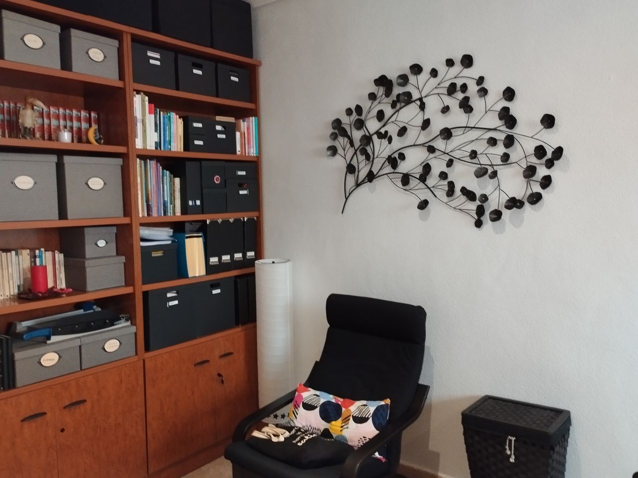 Mari Paz Bastida Balsalobre-1