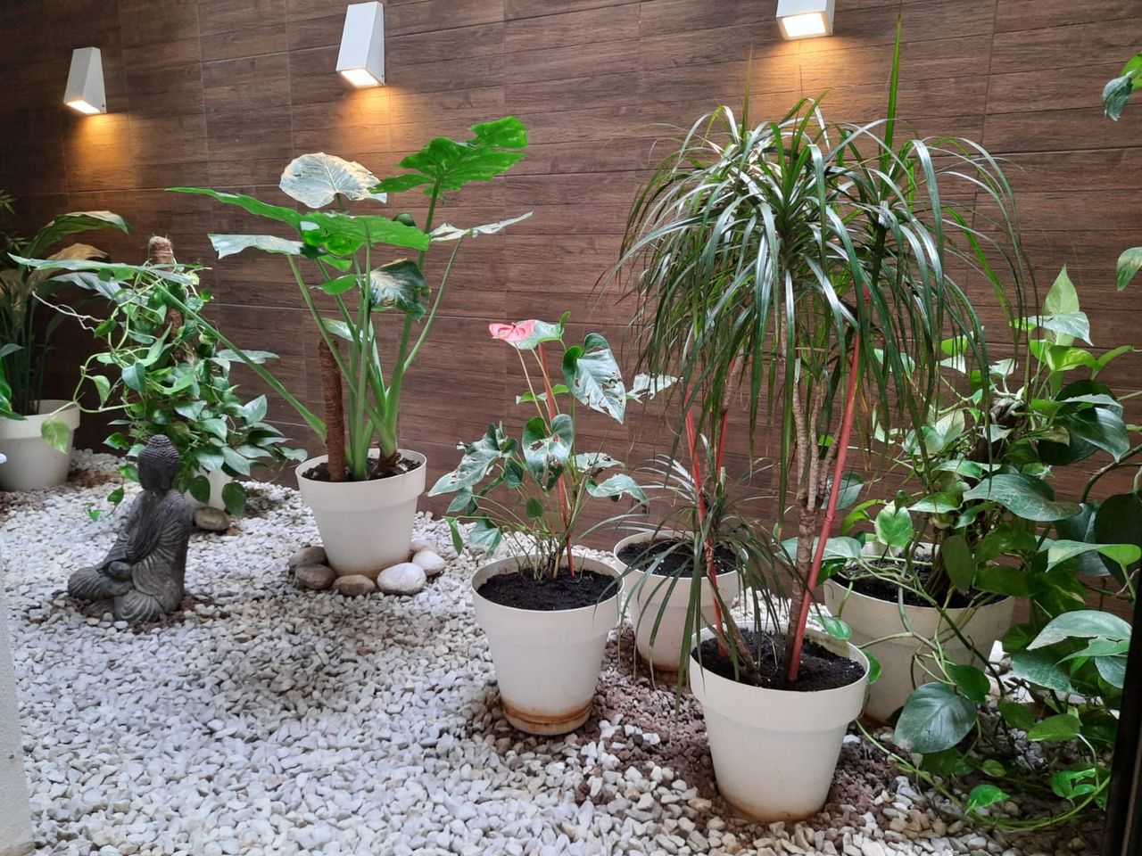 Pau Soldevila Matías-5