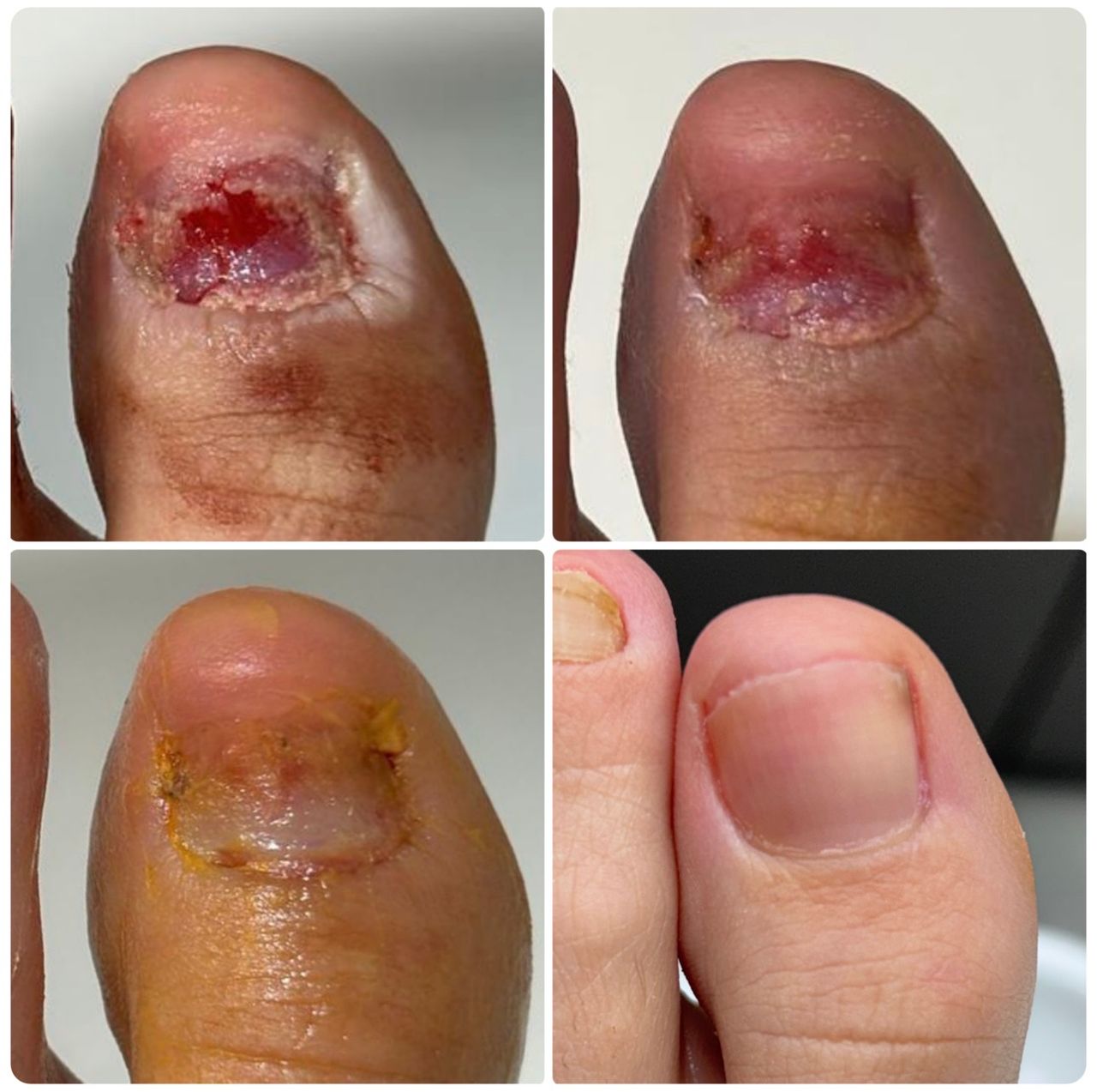 Laura Ortolá Esteve-0