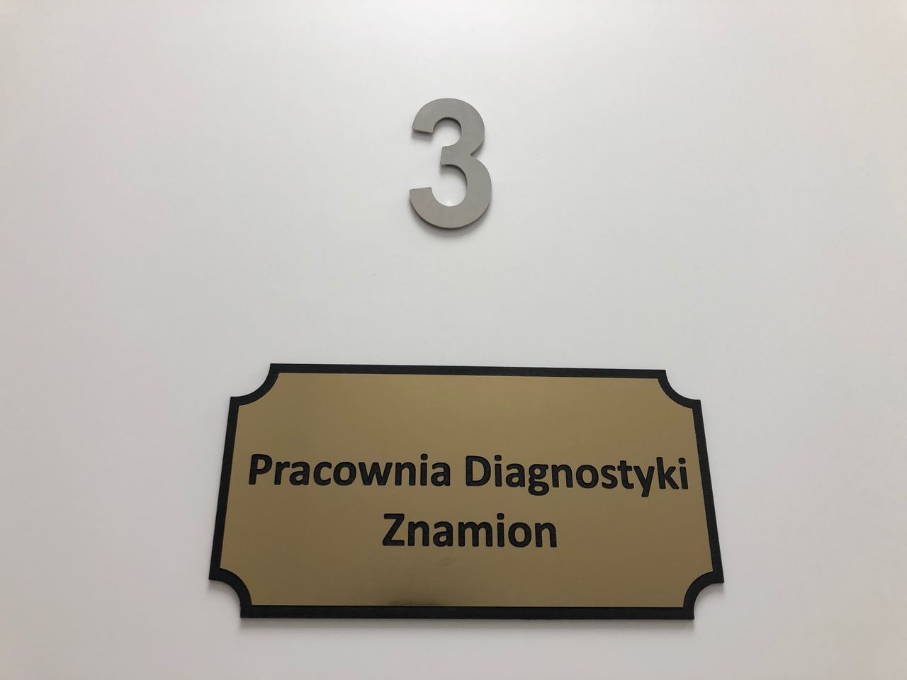 Magdalena Zajkowska-13