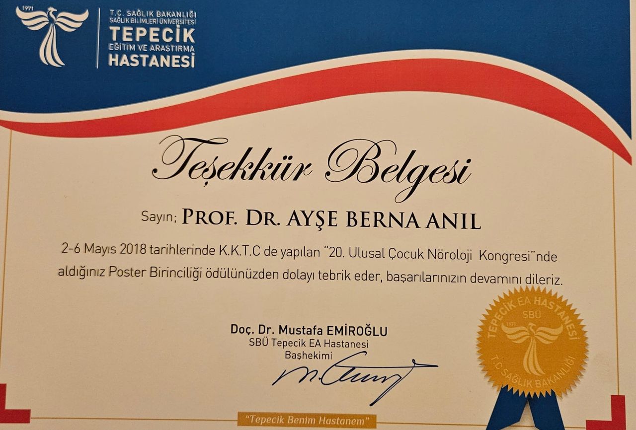 Ayşe Berna Anıl-48