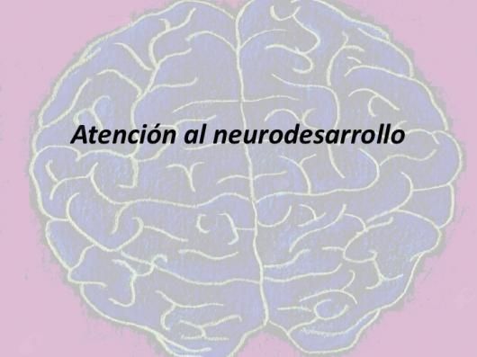 Laura Galapero Real-0