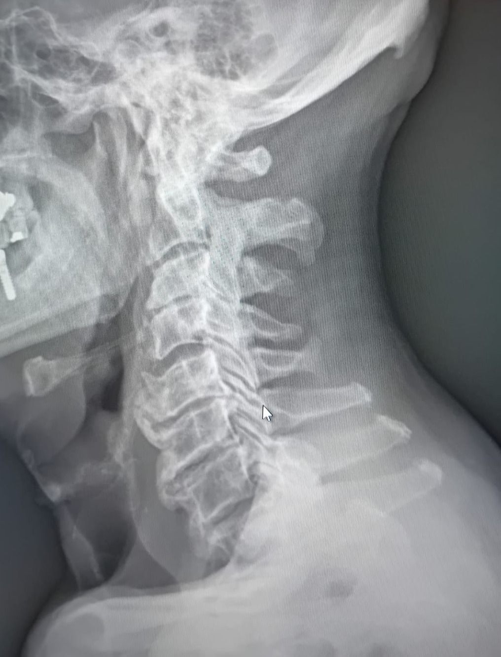 Stefania De Trane-13