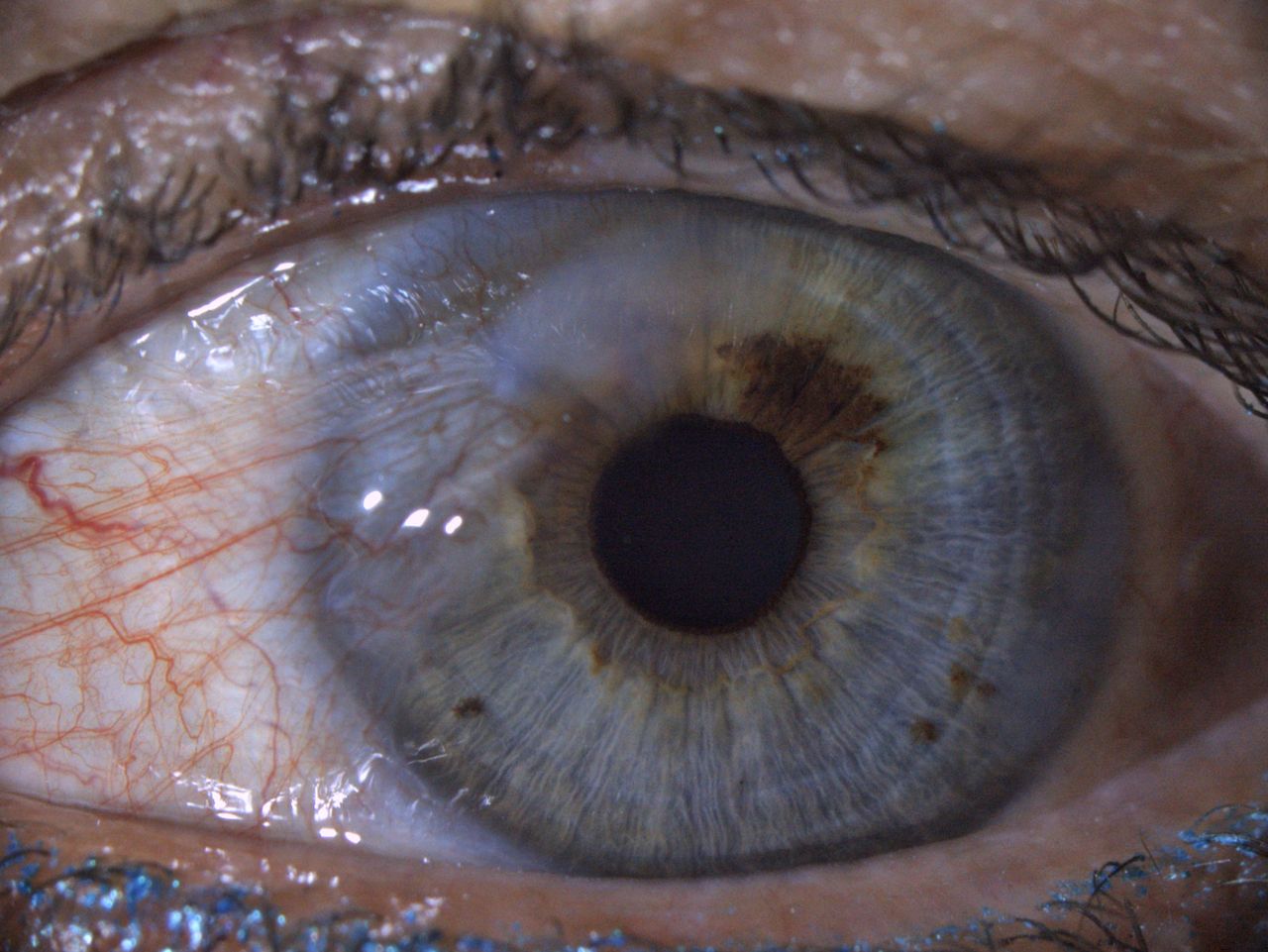 Dr. Med. Univ. Florian Auerbach Febo, Mhba-9