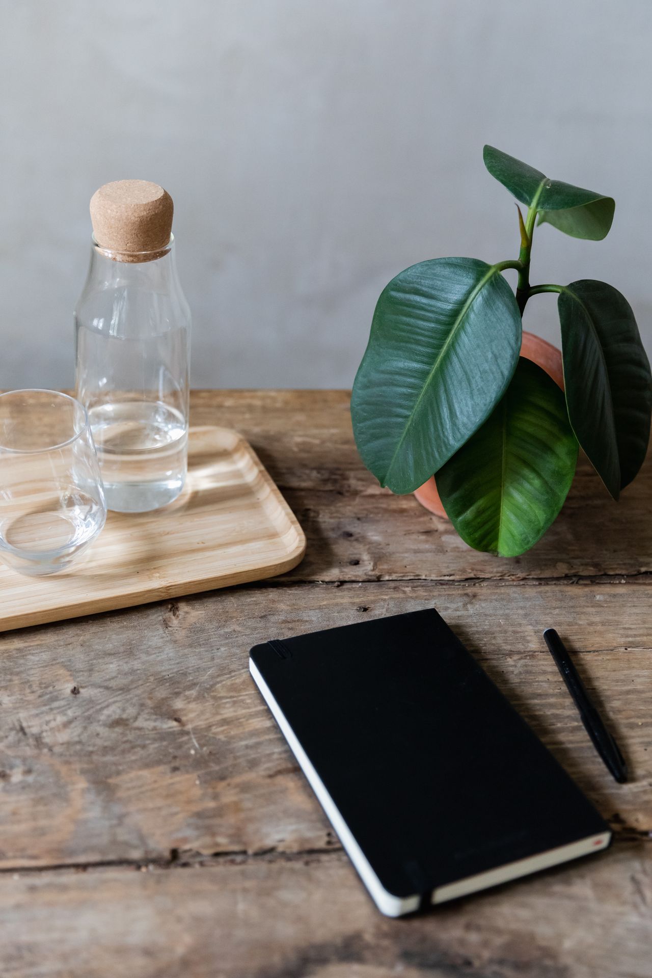 María Del Mar Cinto Gallarín-0