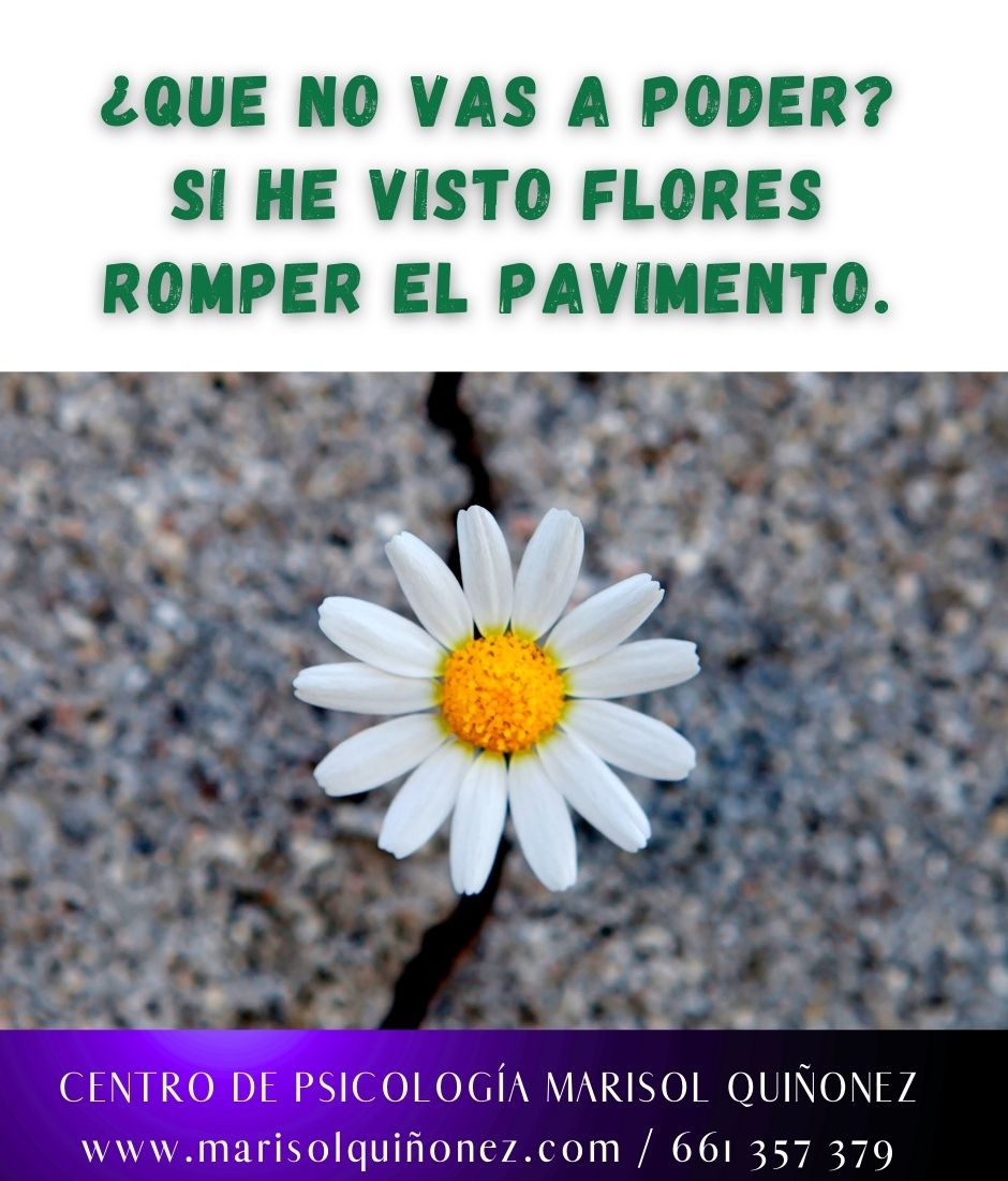 Marisol Quiñonez Quintero-78