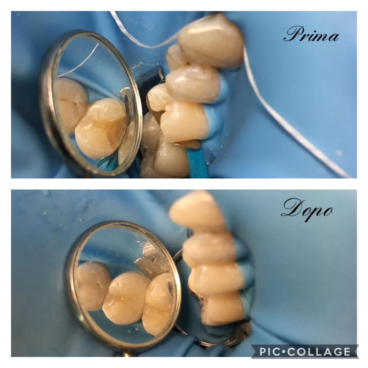 Maria Grazia Diaferia-10