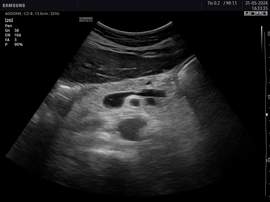 Gianluca Cisternino-13