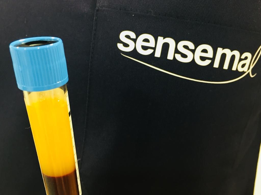 Javier Garate Lopez-Tafall-0