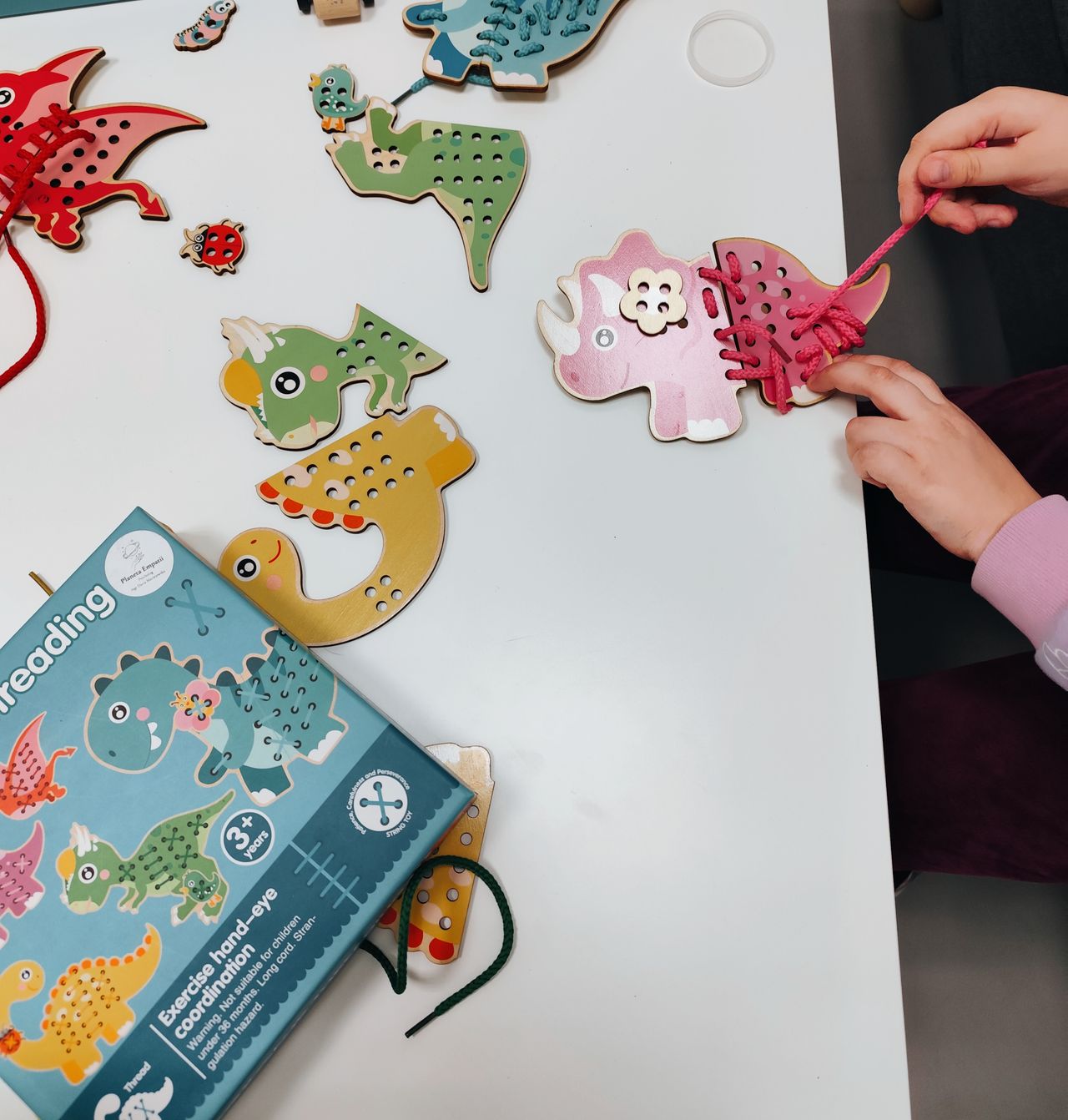 Daria Maciejewska-11