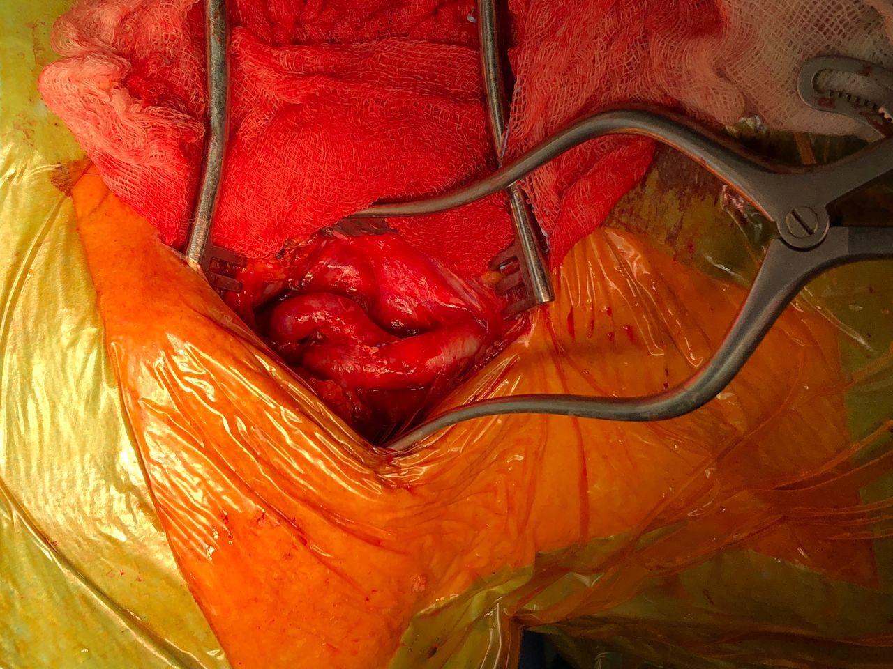 Francesco De Santis-16