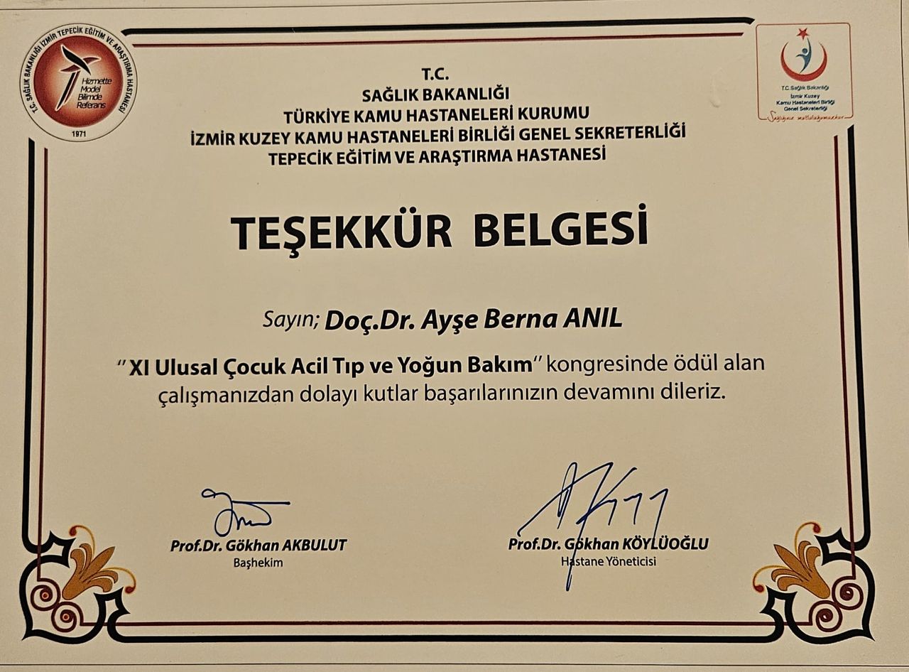 Ayşe Berna Anıl-37