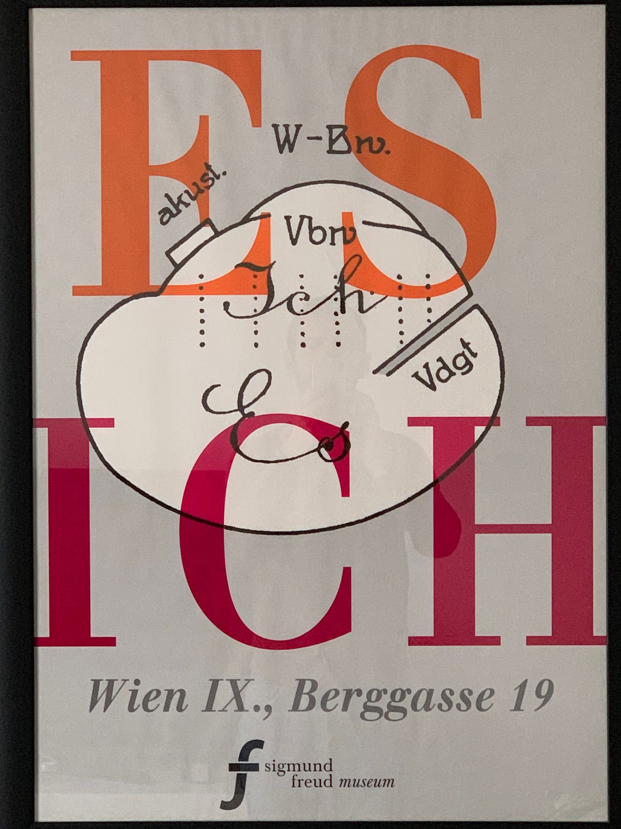 William Vincenzo Marino-1