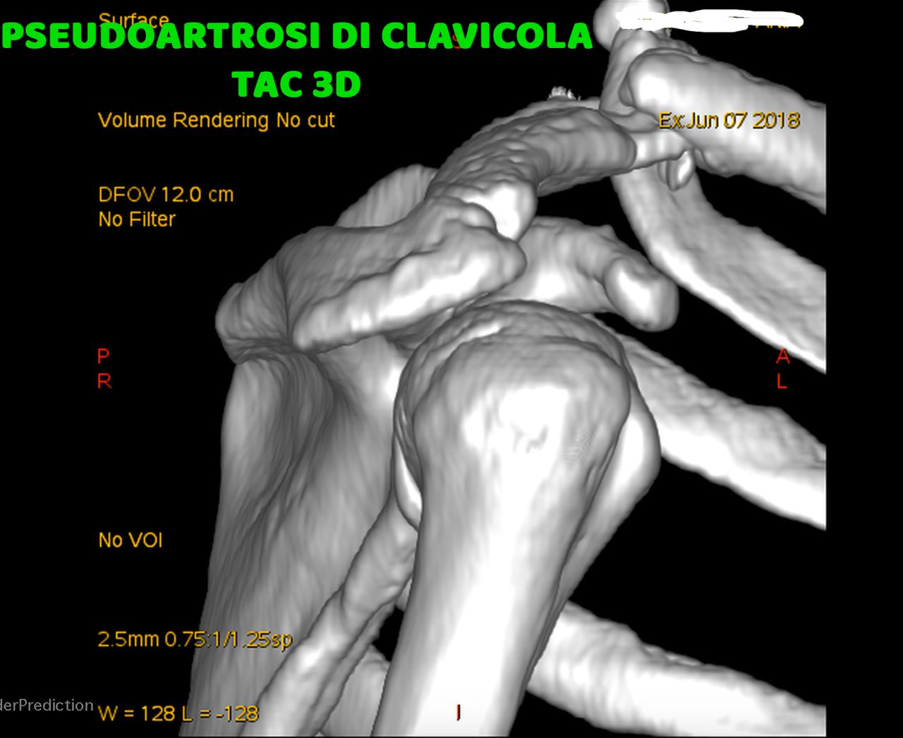 Davide Corrado Vaccarisi-6