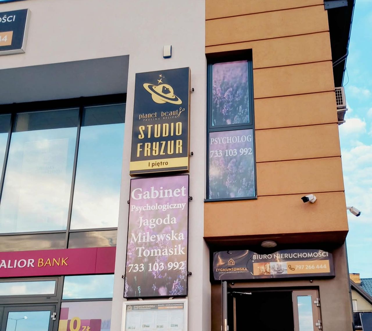 Jagusława Milewska-Tomasik-1