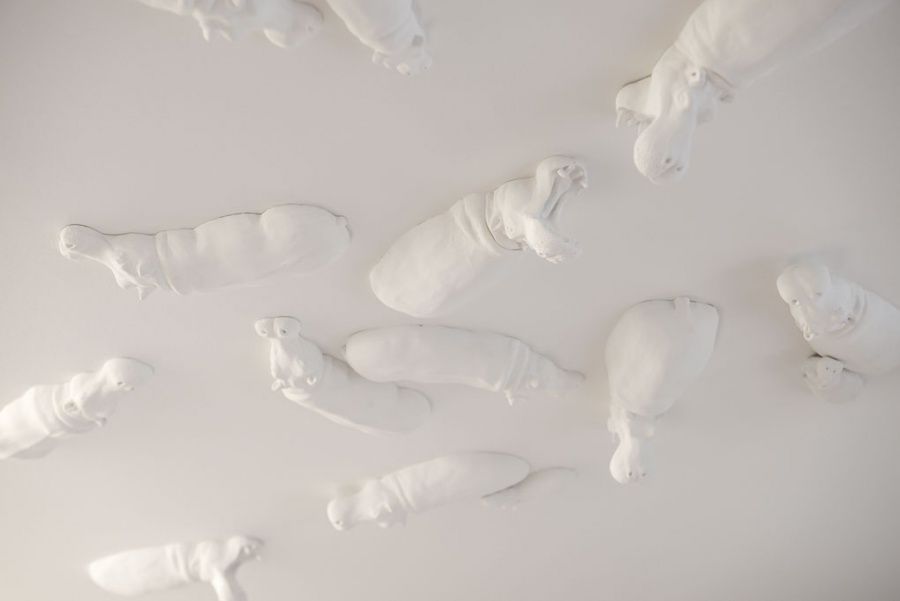 Anne Susanlauenstein -Krogbeumker Msc, Msc-5