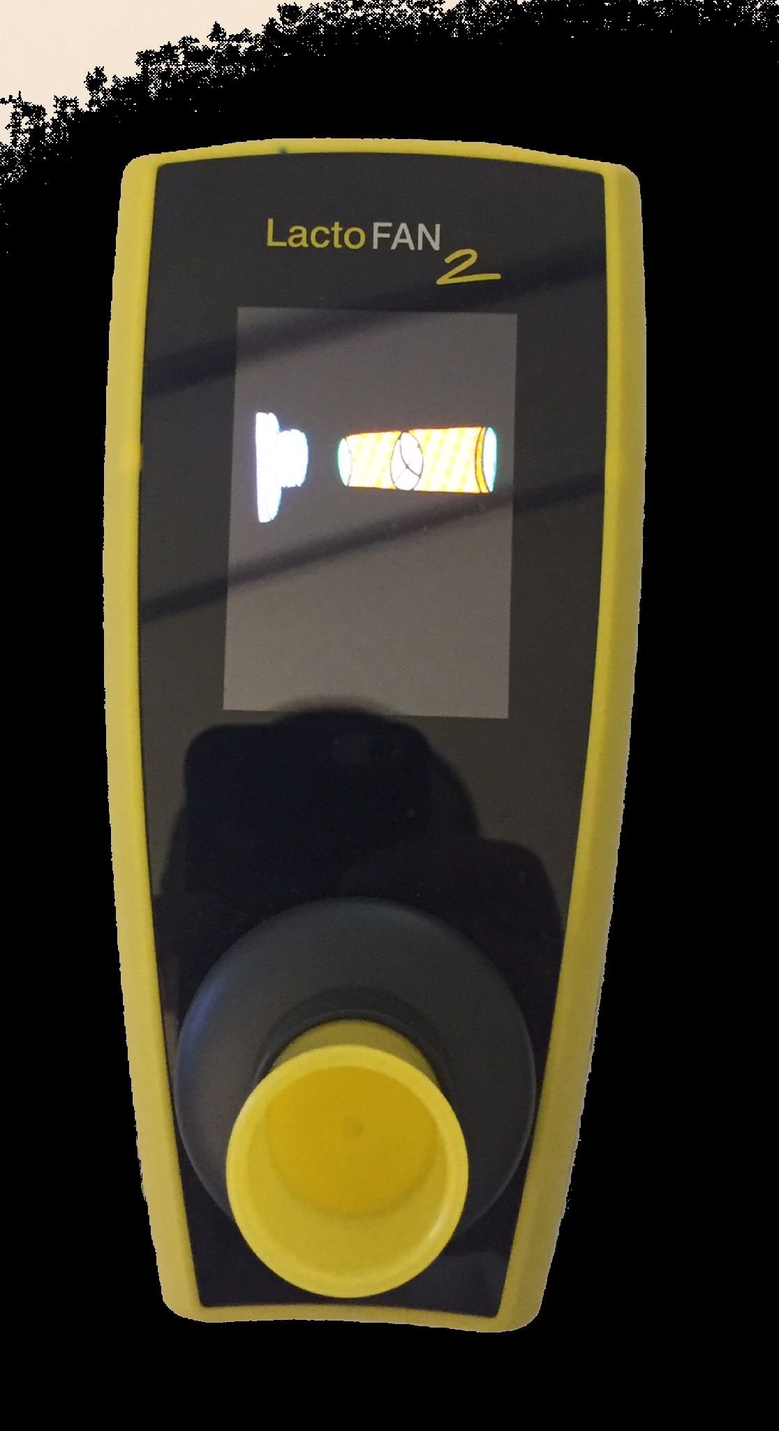 Francesco Azzolini-2