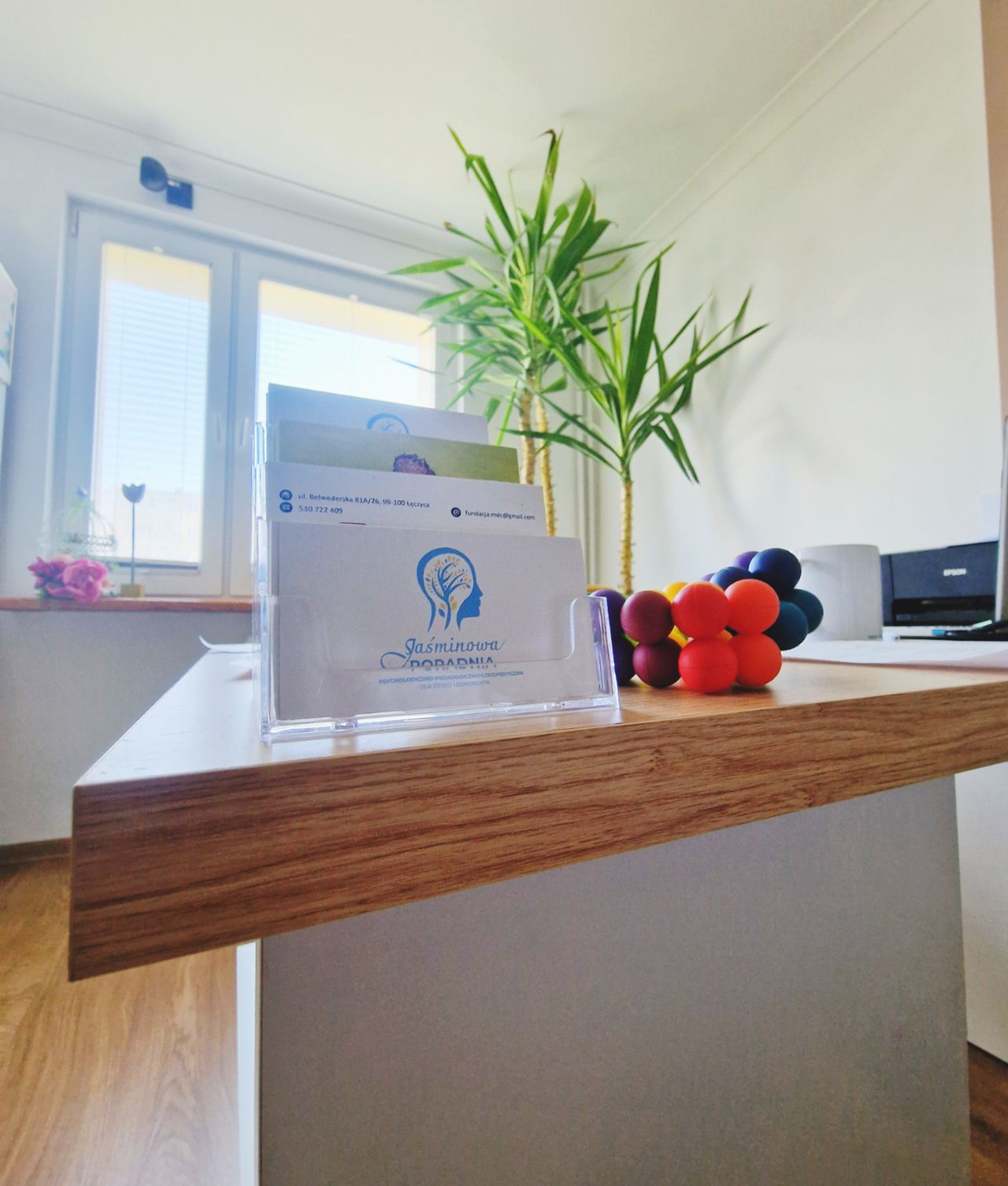 Aleksandra Wasilewska-0