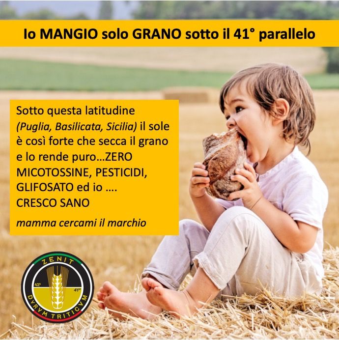 Ruggiero Francavilla-1