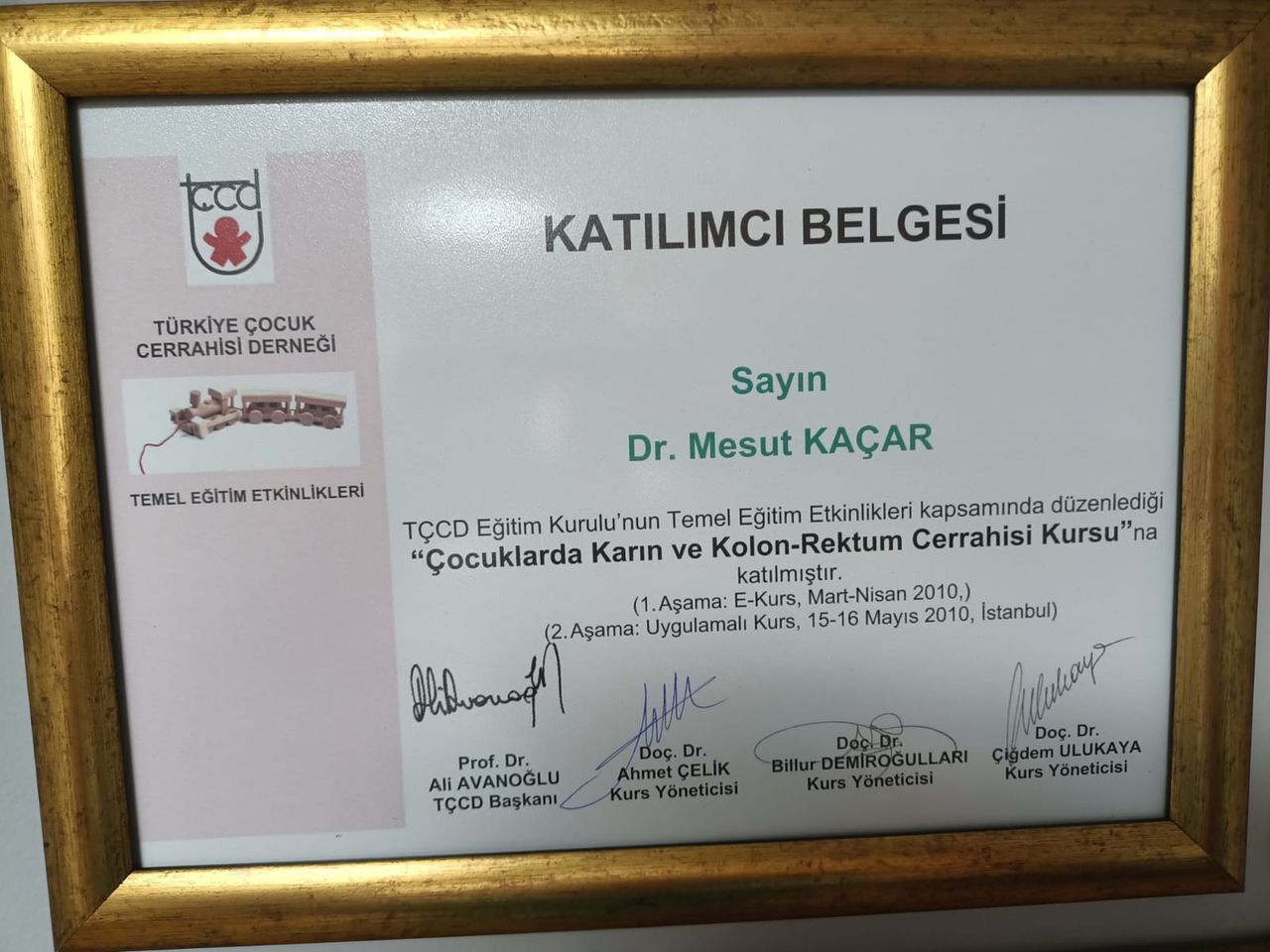 Mesut Kaçar-4
