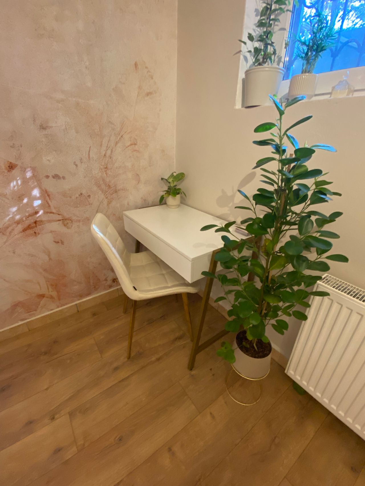 Agnieszka  Pławska -5