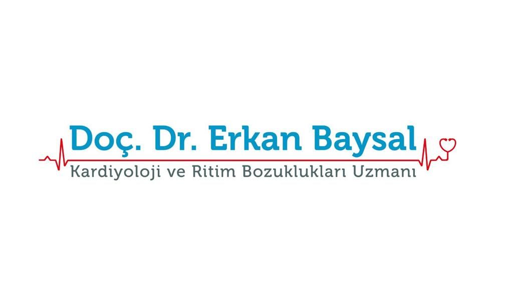 Erkan Baysal-3