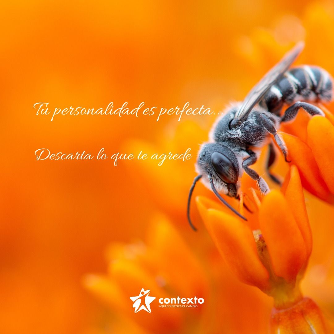 Acerina Ramos Amador-15