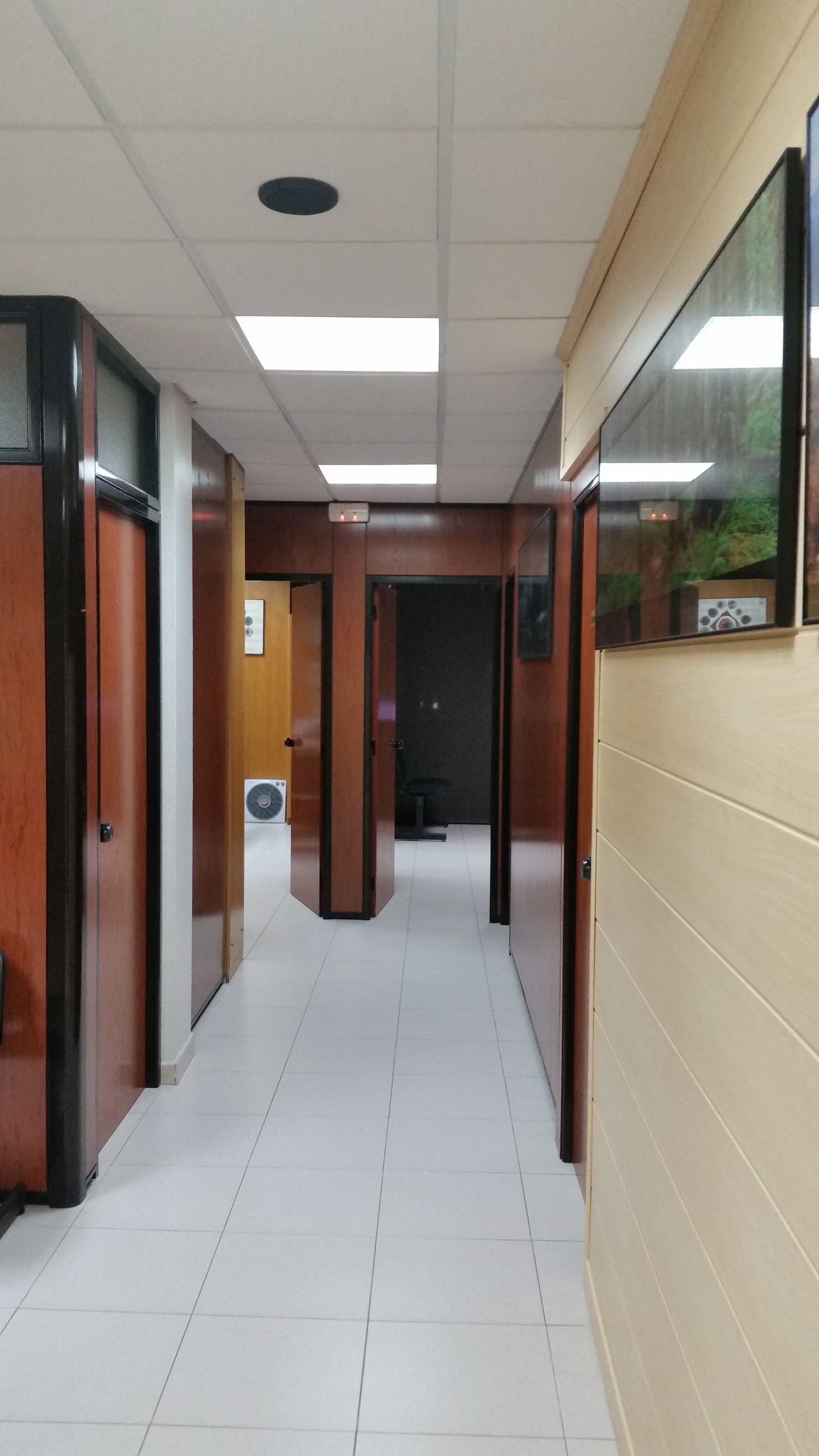 Manuel José Amén Letrán-4