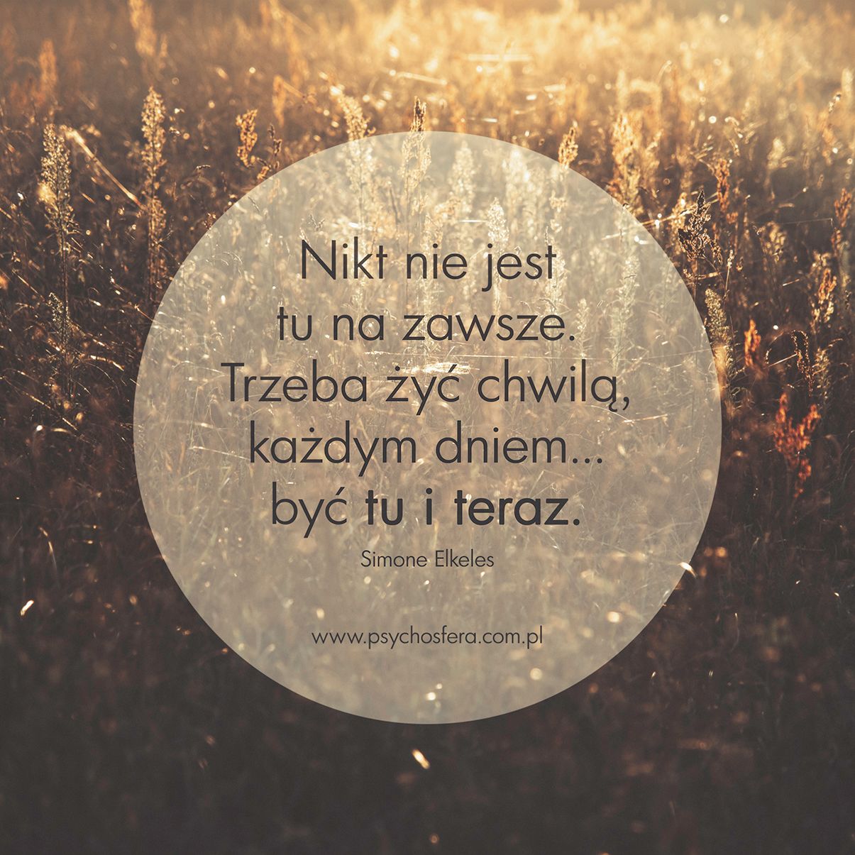 Katarzyna Sypniewska-Wałęsa-2