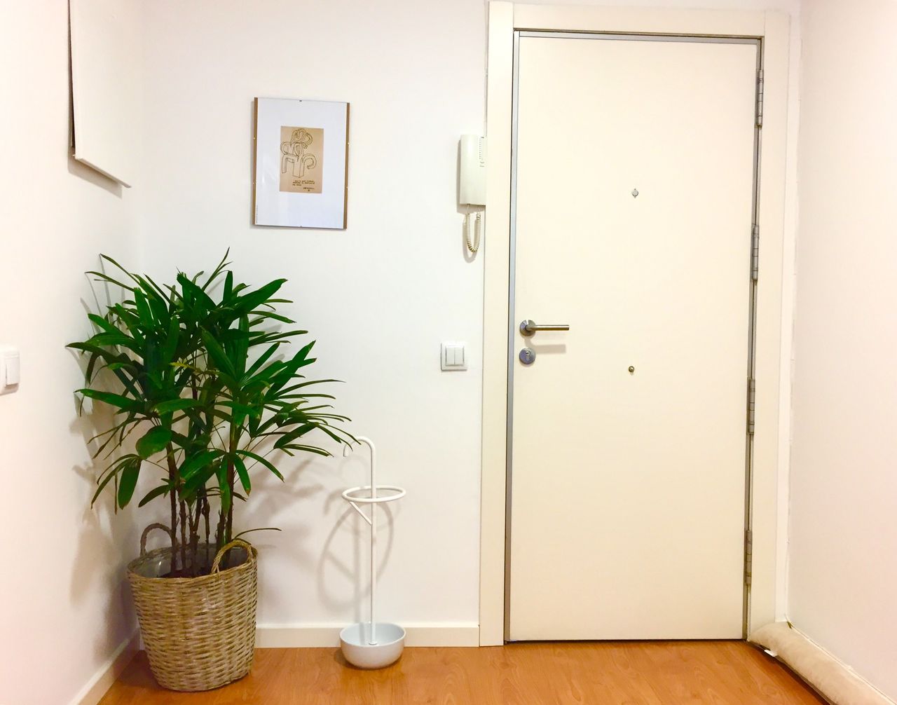 Ainhoa Goenaga Alzuri-19