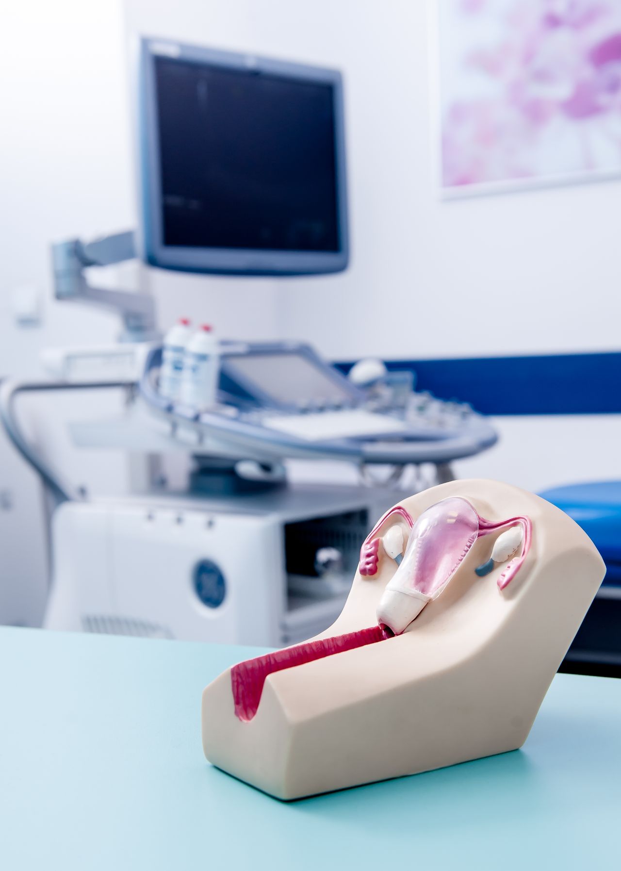 Aleksandra Brucka-Kaczor-5