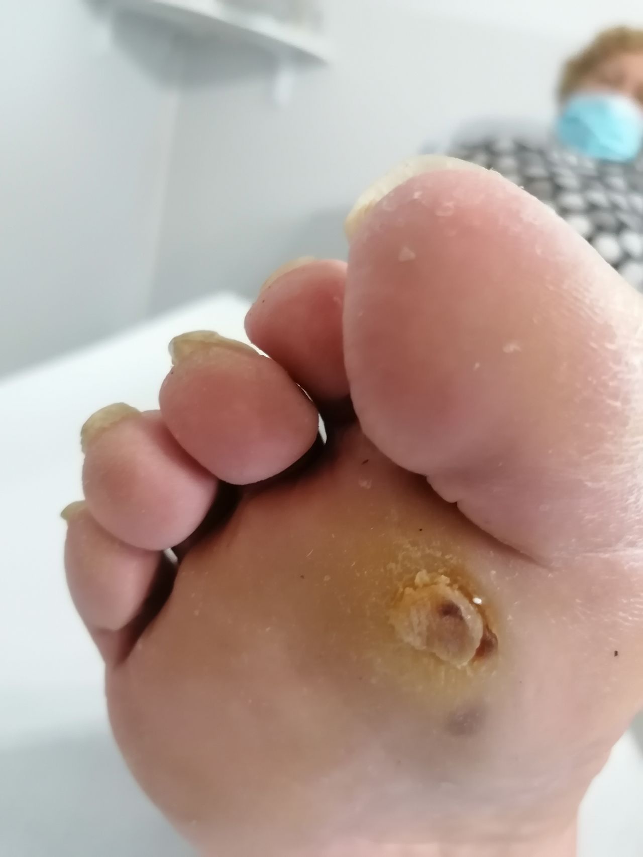 Kassandra Nicolosi-300