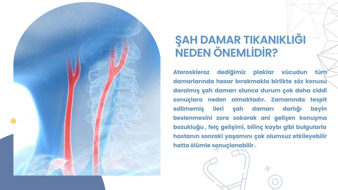 İbrahim Halil Bayrak-3