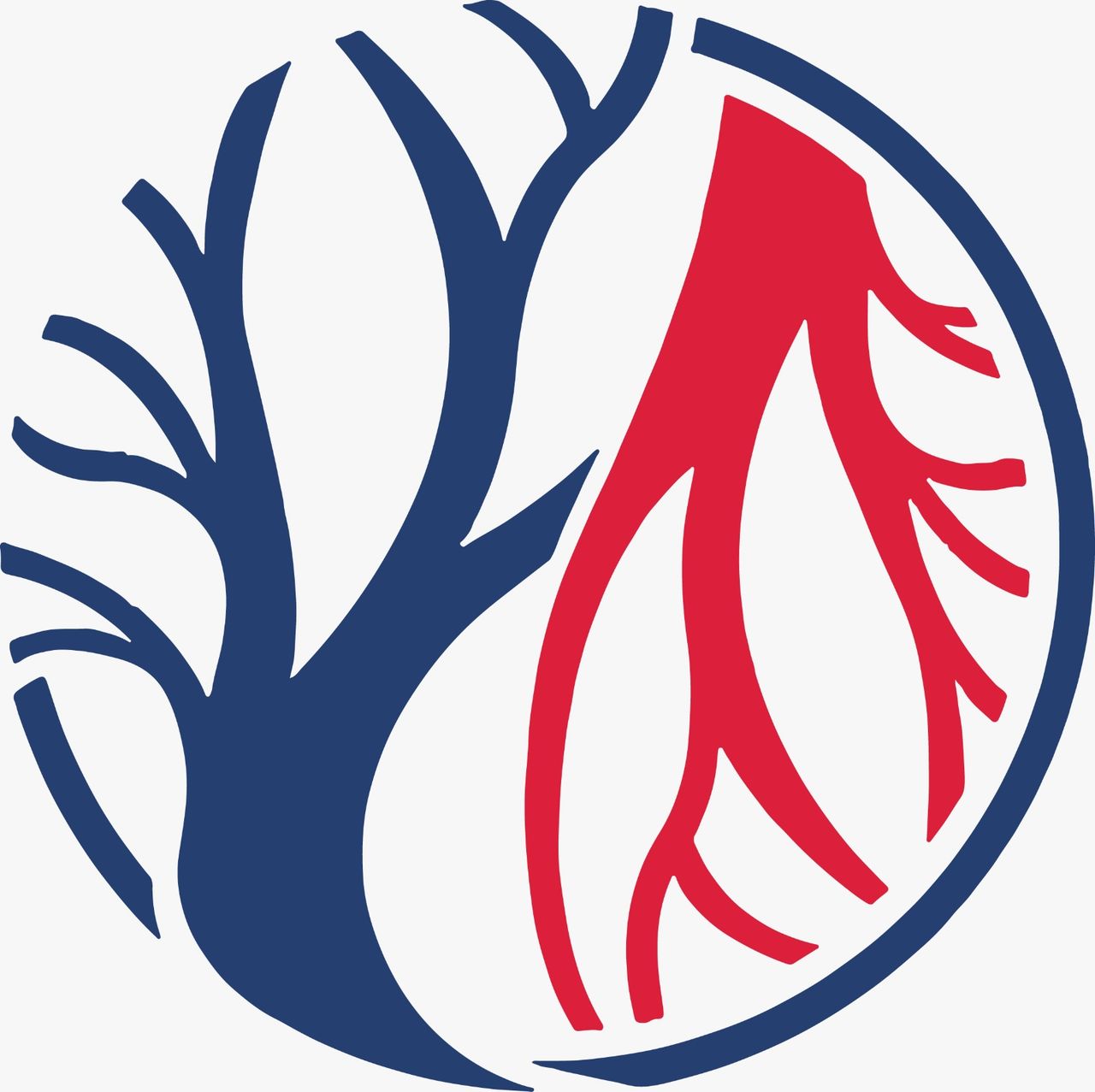 Vincenzo Montemurro-0