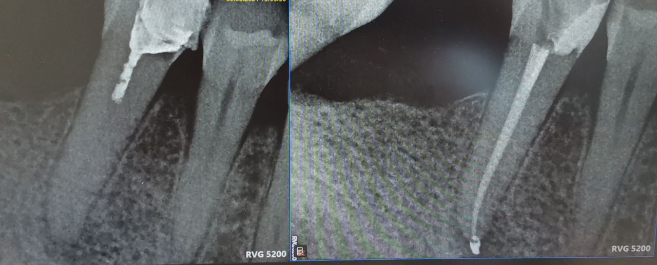 Joanna Bafia (Łagoda)-5