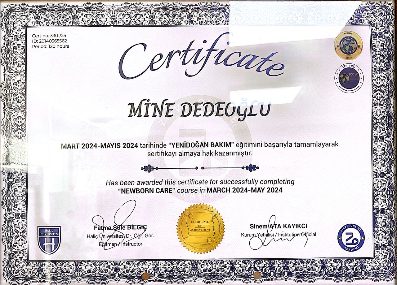 Mine Çağlar-8