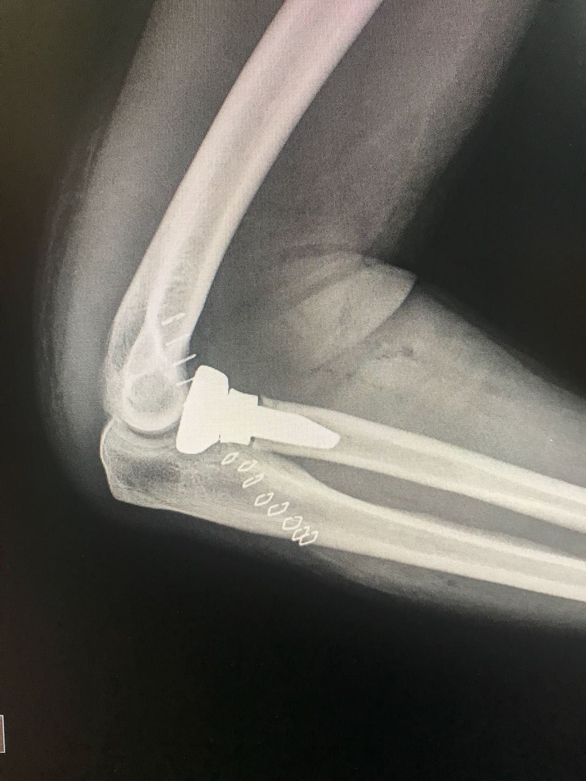 Alessandro Mondaini-1