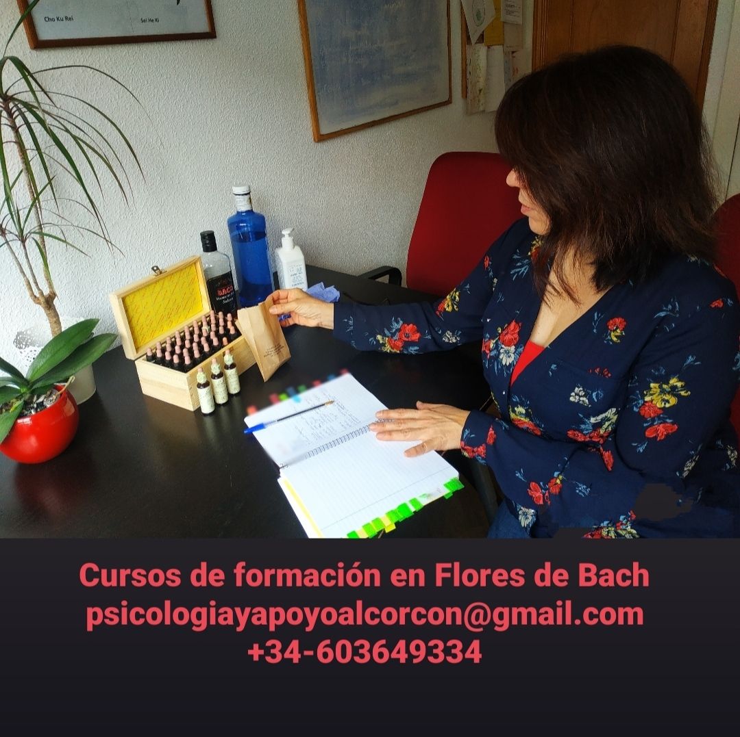 Carmen Paz Alza Millie-17