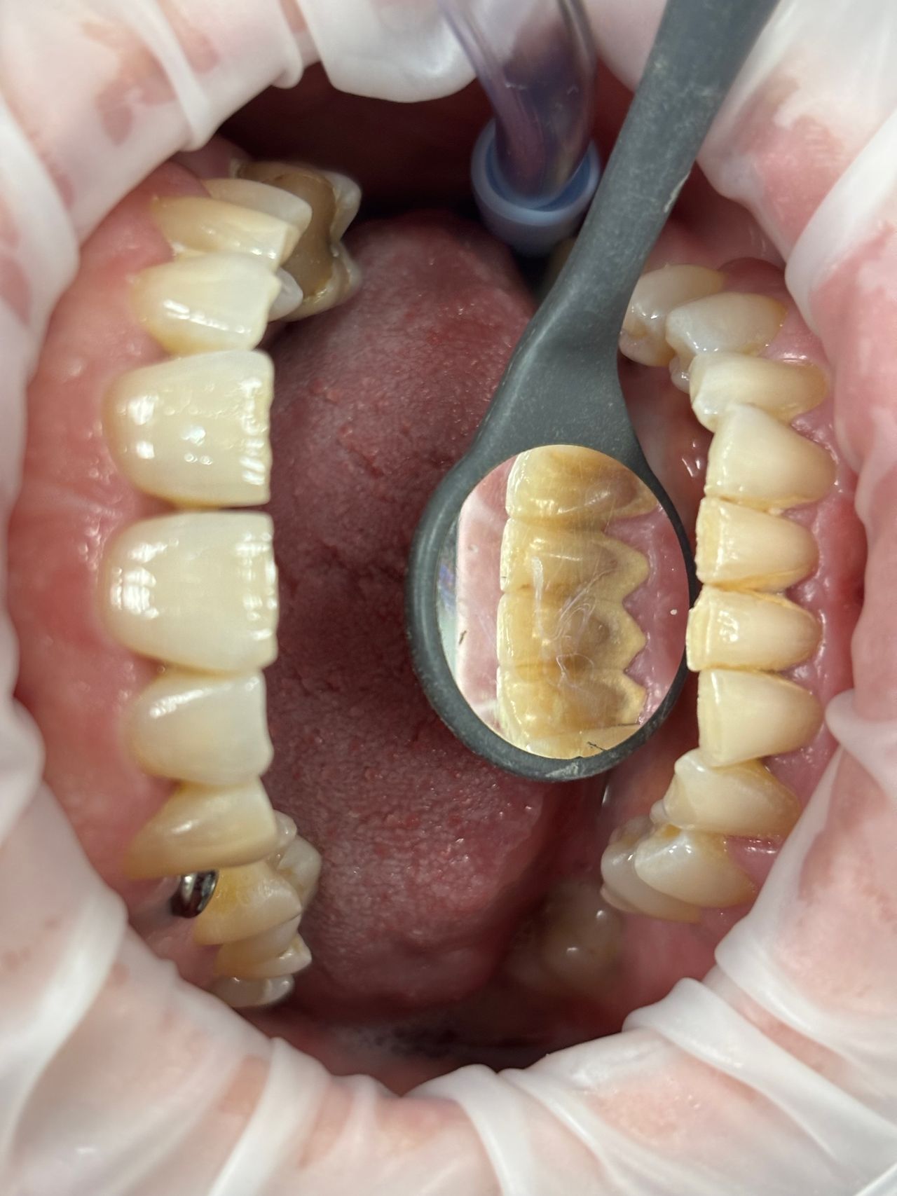 Natalia Skibińska-16