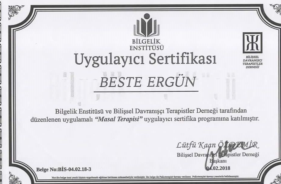 Beste Ergün Özel-12