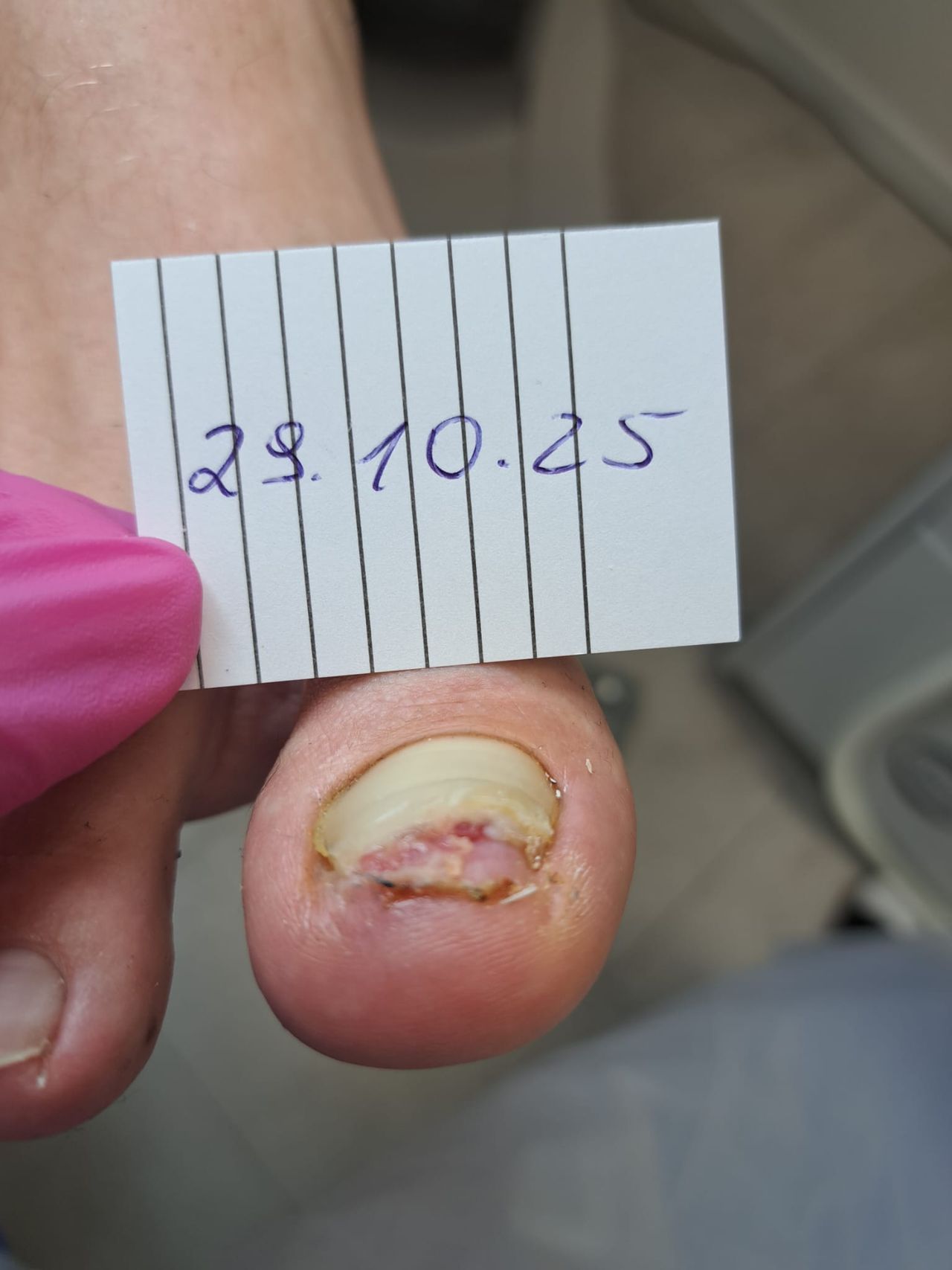 Monika Anhalt-Szawłowska-7