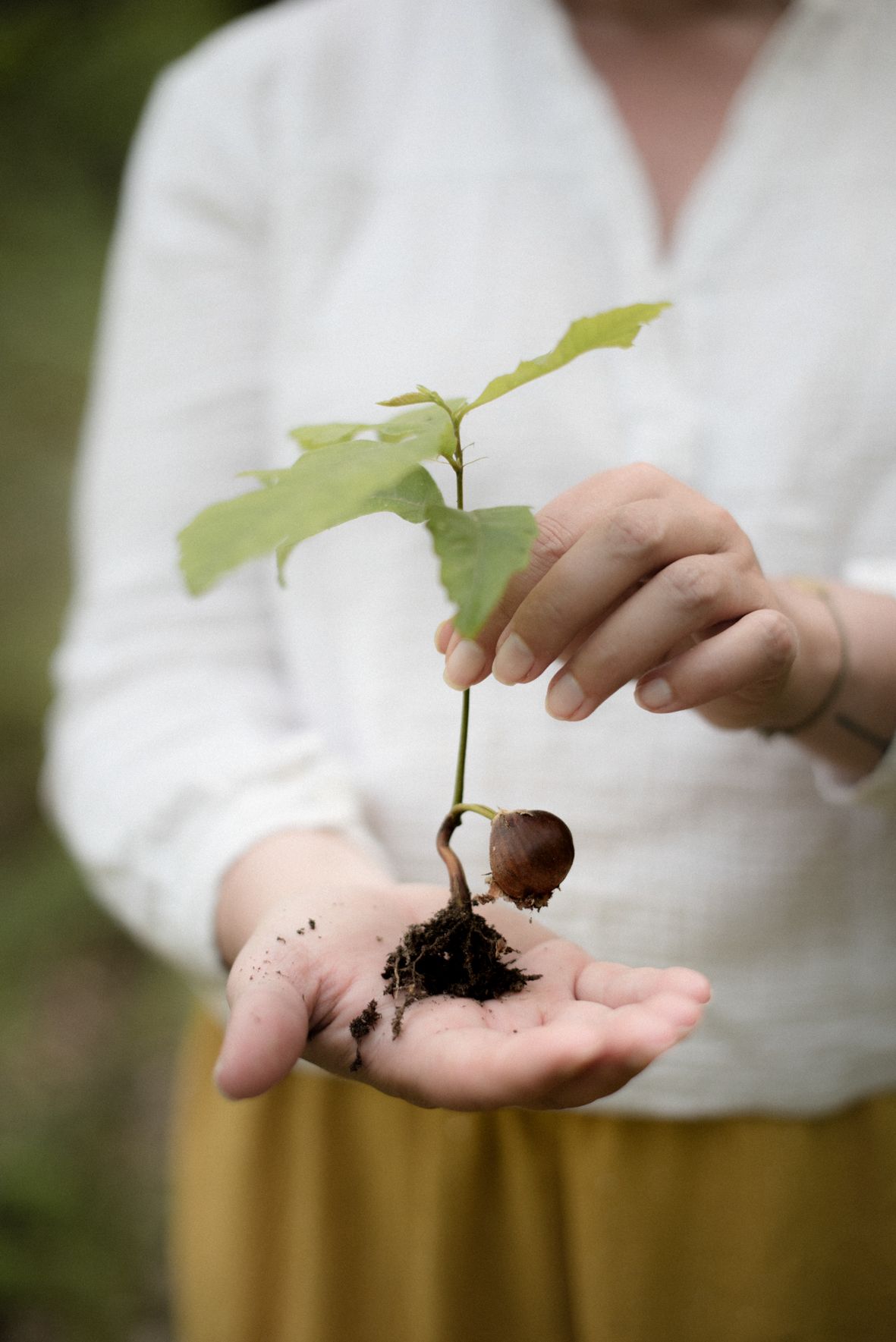 Francesca Campagna-12