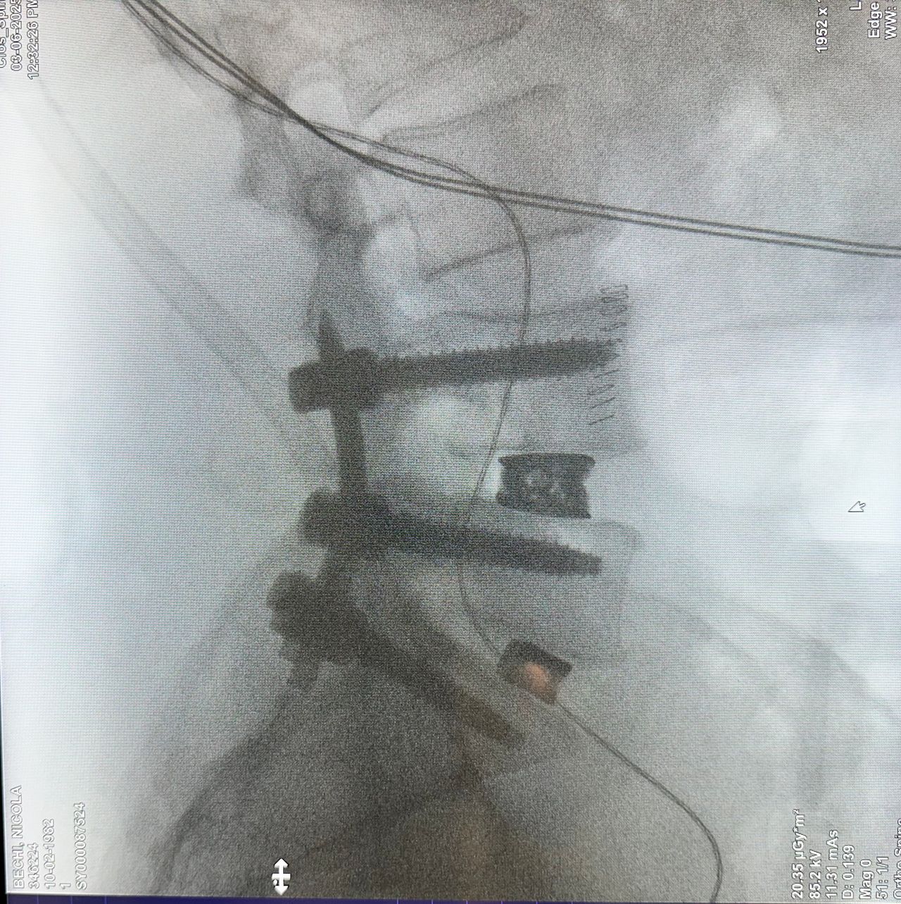 Francesco Natrella-4