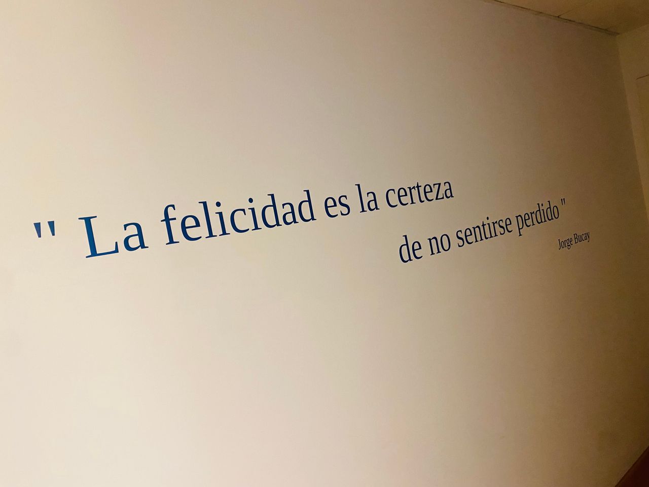 Ana Gutiérrez Dominguez-4