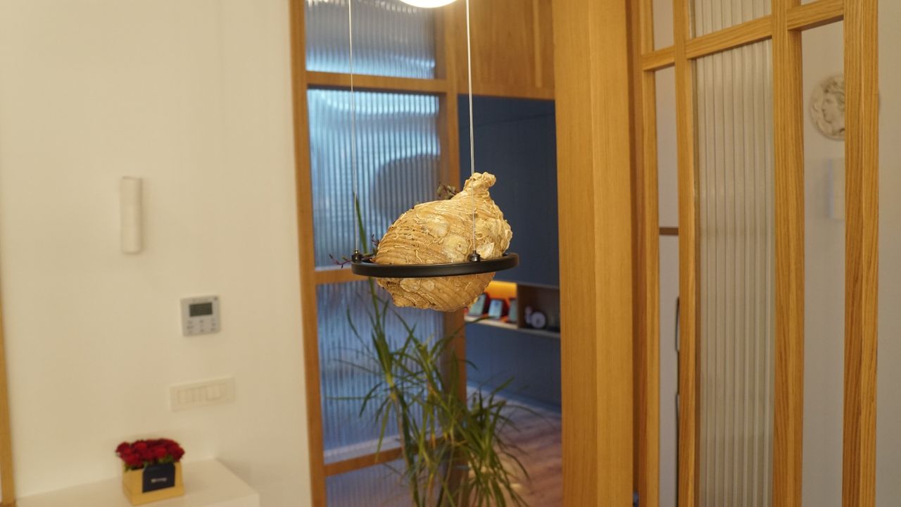 Hande Çelik Mehmetoğlu-1